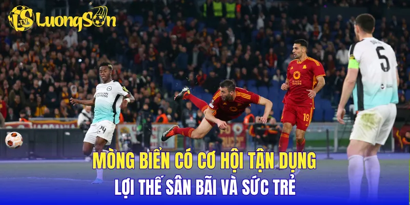 Mòng biển có cơ hội tận dụng lợi thế sân bãi và sức trẻ