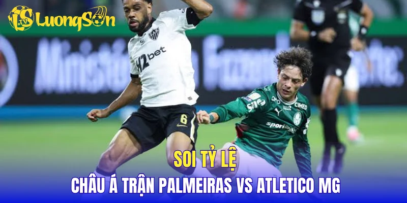 Soi tỷ lệ châu Á trận Palmeiras vs Atletico MG